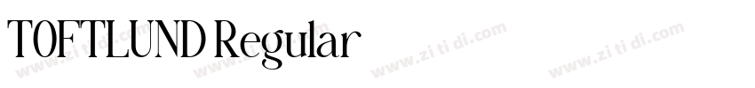 TOFTLUND Regular字体转换 TOFTLUND Regular字体转换